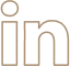 riedel_icon_linkedin
